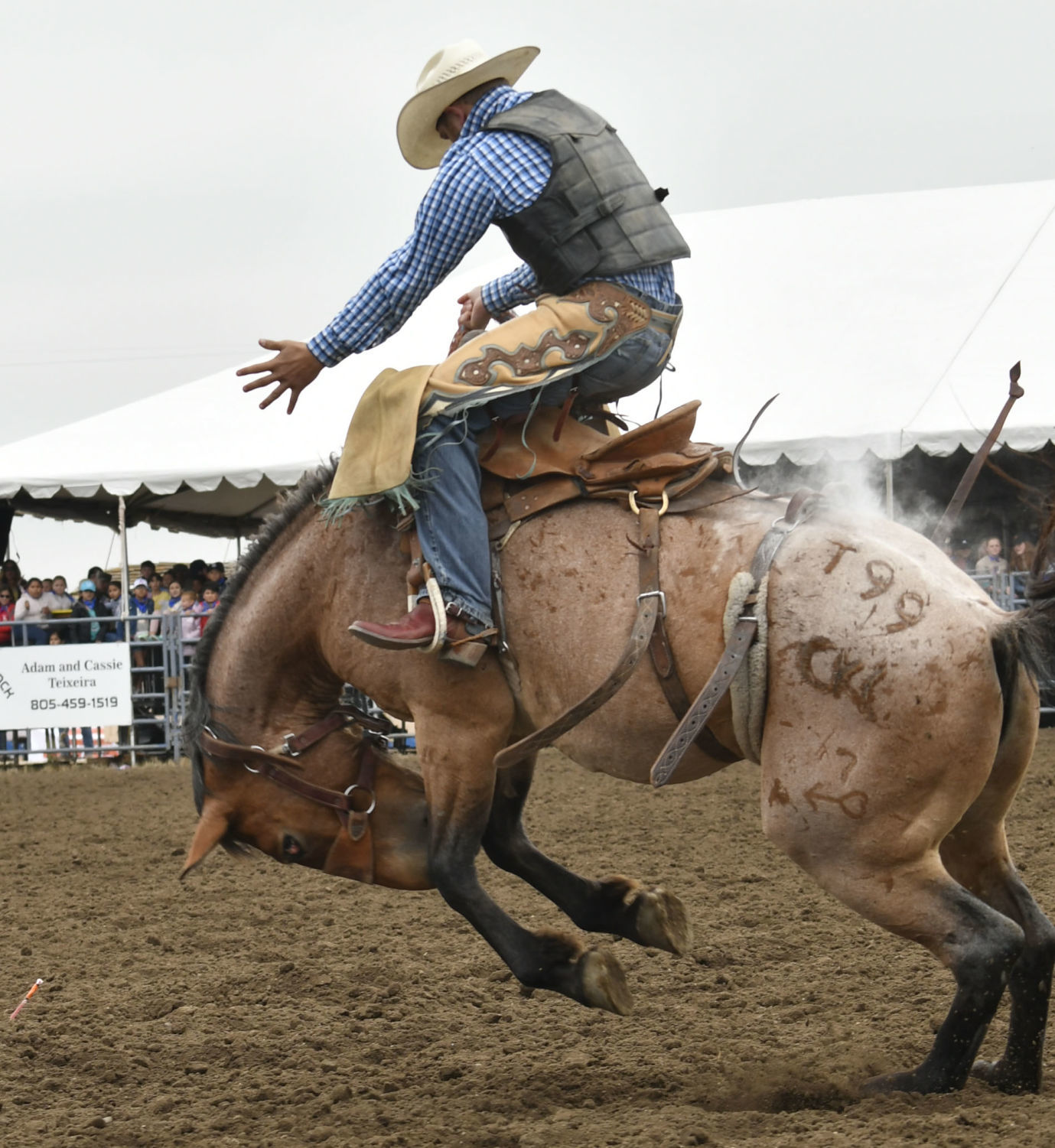 053019 Mini Rodeo sports 05.jpg